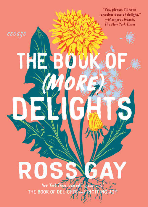 Book cover of The Book of (More) Delights: Essays