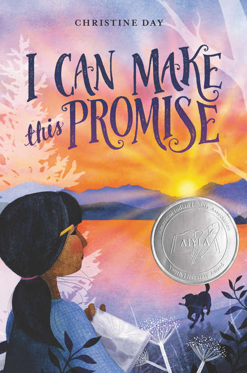 Book cover of I Can Make This Promise