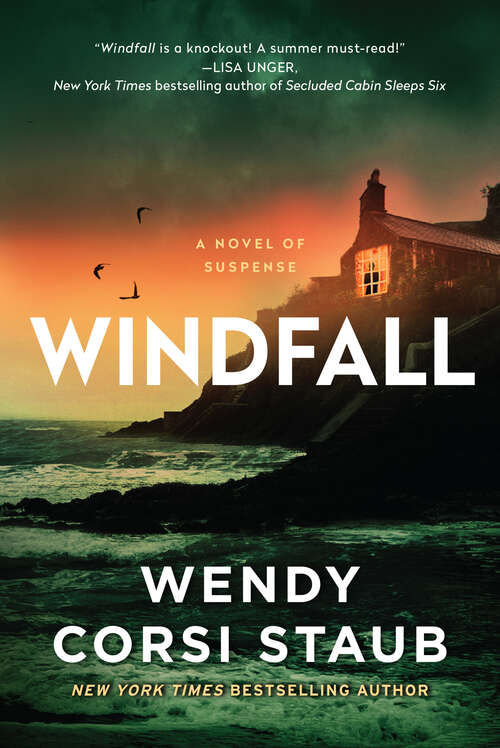 Book cover of Windfall: A Novel of Suspense