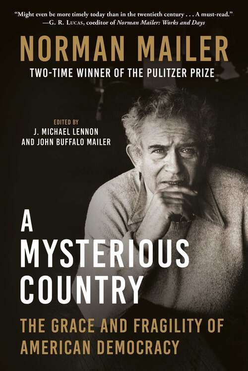 Book cover of A Mysterious Country: The Grace and Fragility of American Democracy