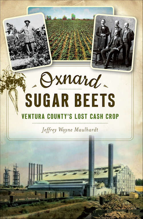 Book cover of Oxnard Sugar Beets: Ventura County's Lost Cash Crop (Lost)