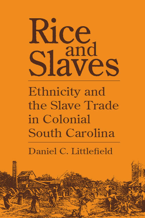 Book cover of Rice and Slaves: Ethnicity and the Slave Trade in Colonial South Carolina (Blacks in the New World)
