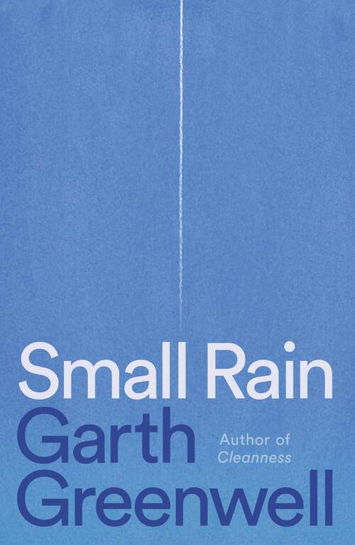 Book cover of Small Rain: A Novel