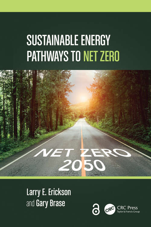 Book cover of Sustainable Energy Pathways to Net Zero