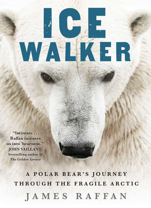 Book cover of Ice Walker: A Polar Bear's Journey through the Fragile Arctic