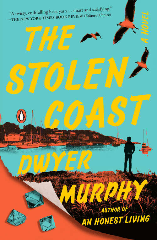 Book cover of The Stolen Coast: A Novel