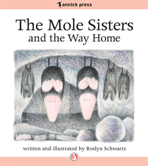 Book cover of The Mole Sisters and the Way Home