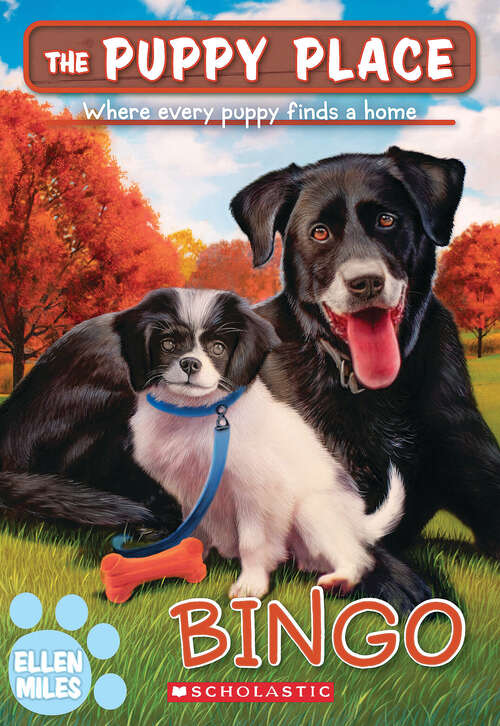 Book cover of Bingo (The Puppy Place)