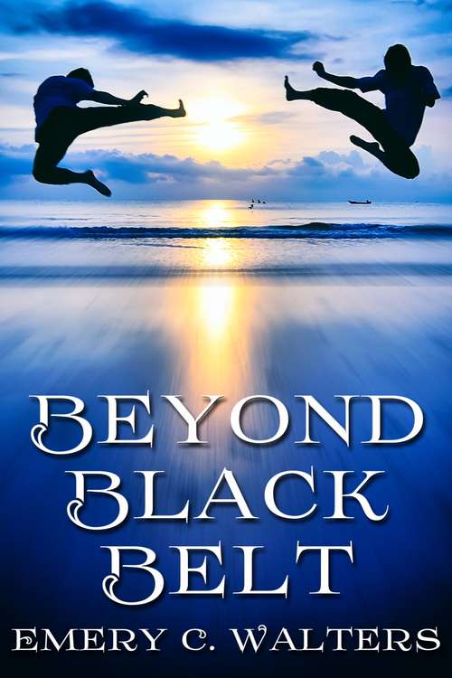 Book cover of Beyond Black Belt
