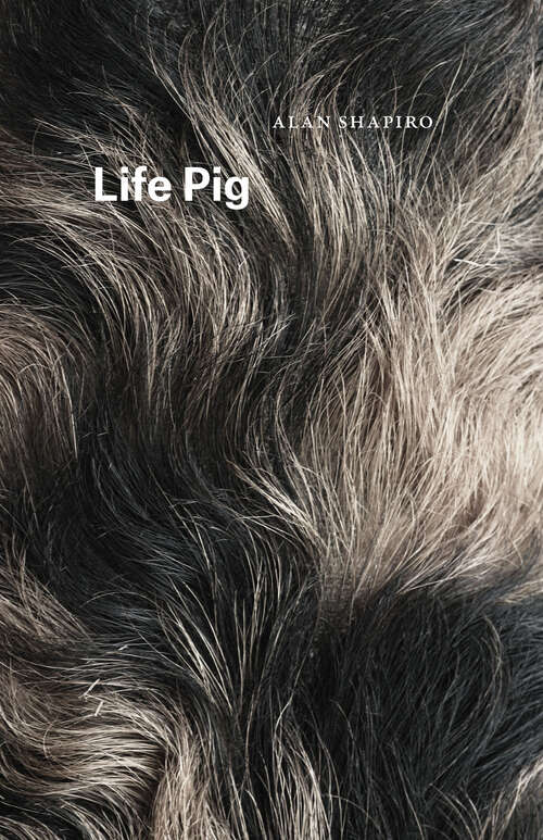 Book cover of Life Pig (Phoenix Poets Ser.)