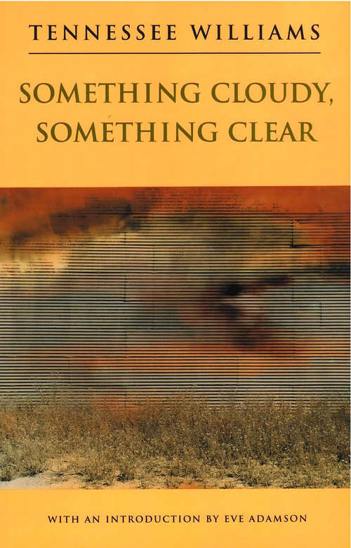 Book cover of Something Cloudy, Something Clear