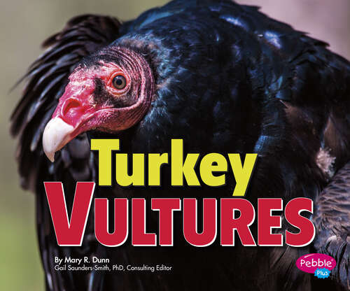 Book cover of Turkey Vultures (Birds Of Prey Ser.)