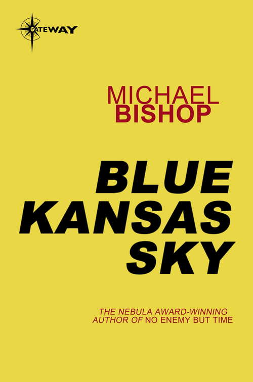 Book cover of Blue Kansas Sky: Four Short Novels Of Memory, Magic, Surmise And Estrangement