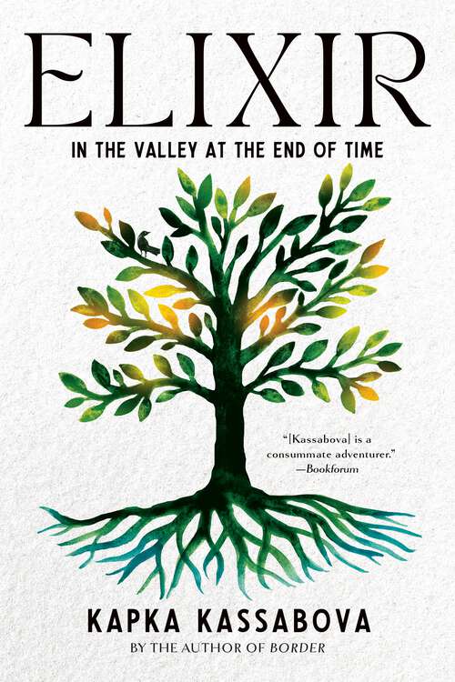 Book cover of Elixir: In the Valley at the End of Time