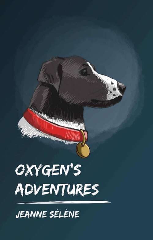 Book cover of Oxygen's Adventures