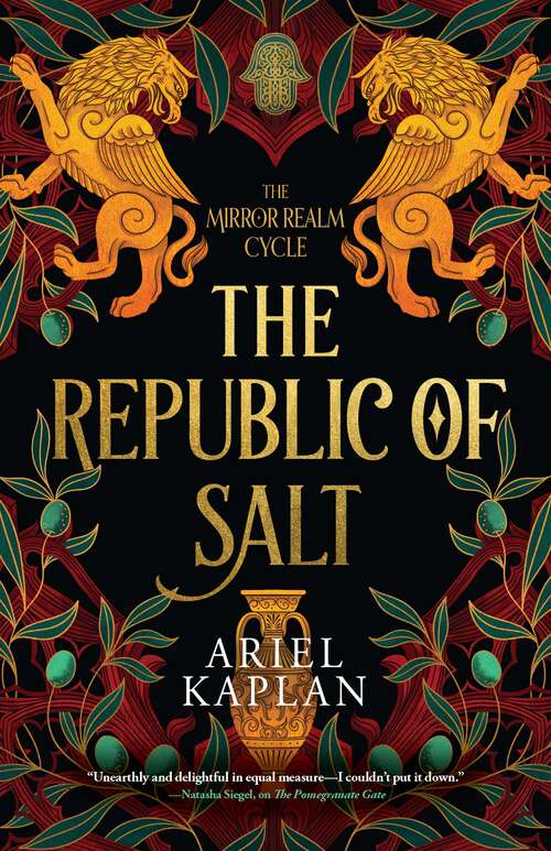 Book cover of The Republic of Salt (The Mirror Realm Cycle #2)