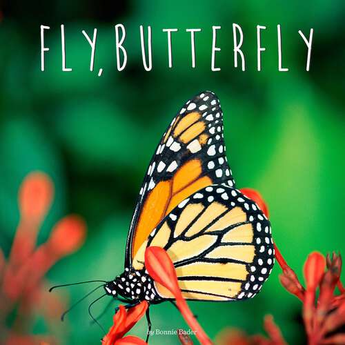 Book cover of Fly, Butterfly (Penguin Core Concepts)