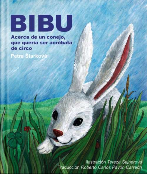 Book cover of Bibu: Acerca de un conejo, que quería ser acróbata de circo