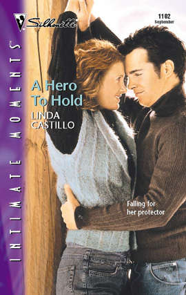 Book cover of A Hero to Hold
