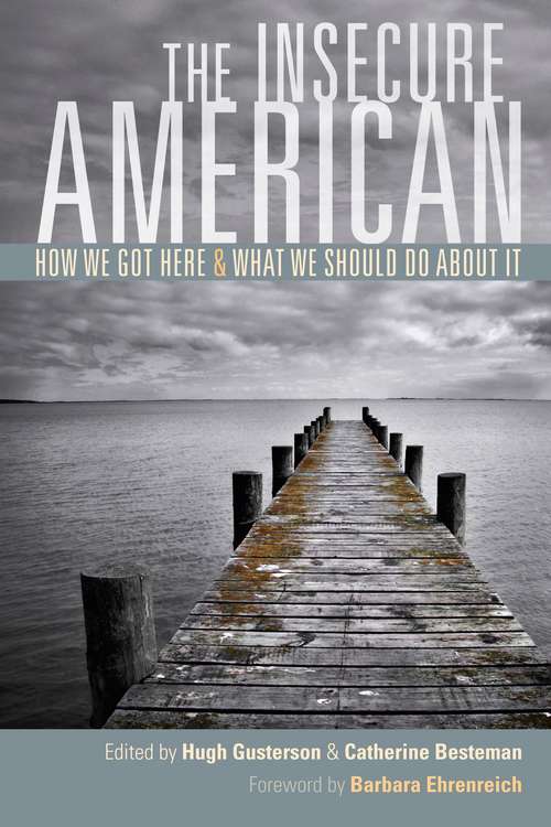 Book cover of The Insecure American: How We Got Here and What We Should Do About It