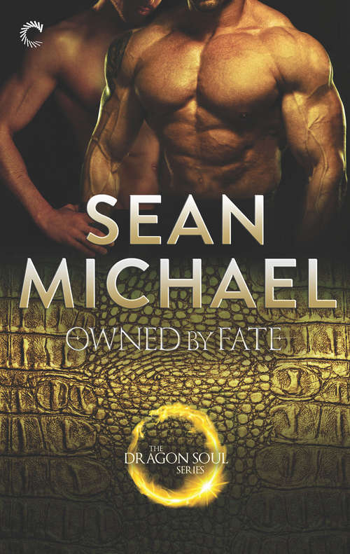 Book cover of Owned by Fate (Original) (The Dragon Soul Series #5)