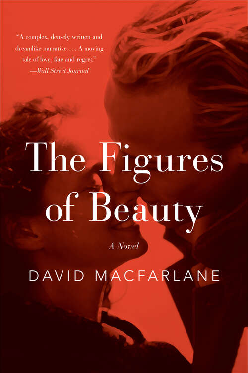 Book cover of The Figures of Beauty: A Novel