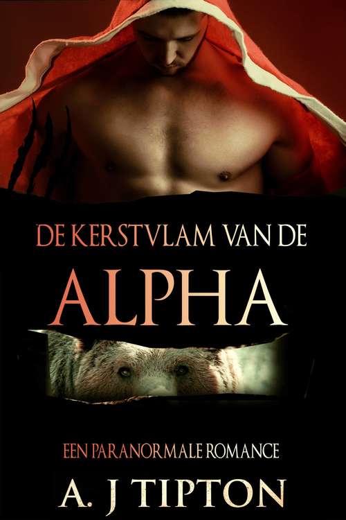 Book cover of De Kerstvlam van de Alpha
