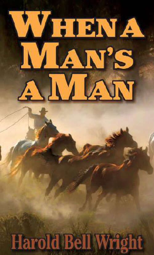 Book cover of When a Man's a Man