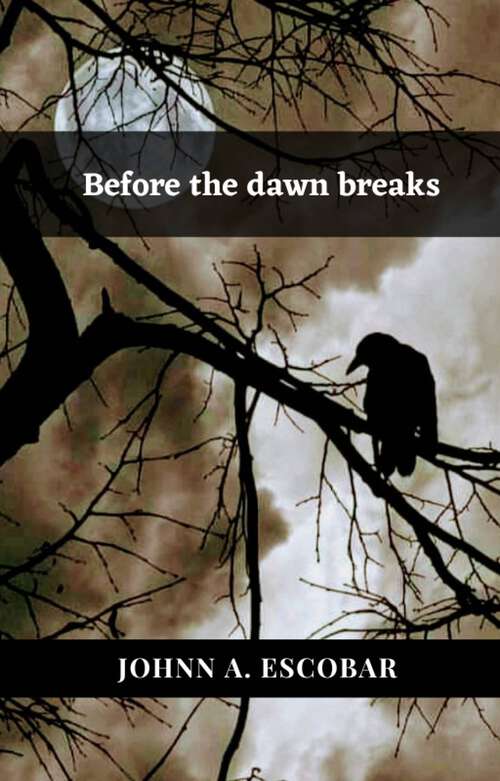 Book cover of Before the dawn breaks