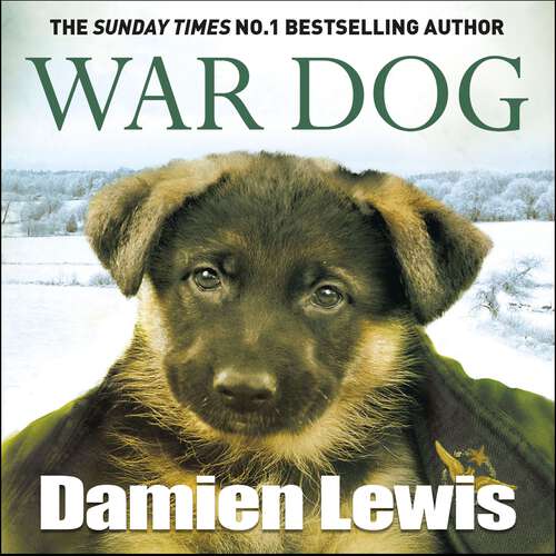 Book cover of War Dog: The no-man's-land puppy who took to the skies