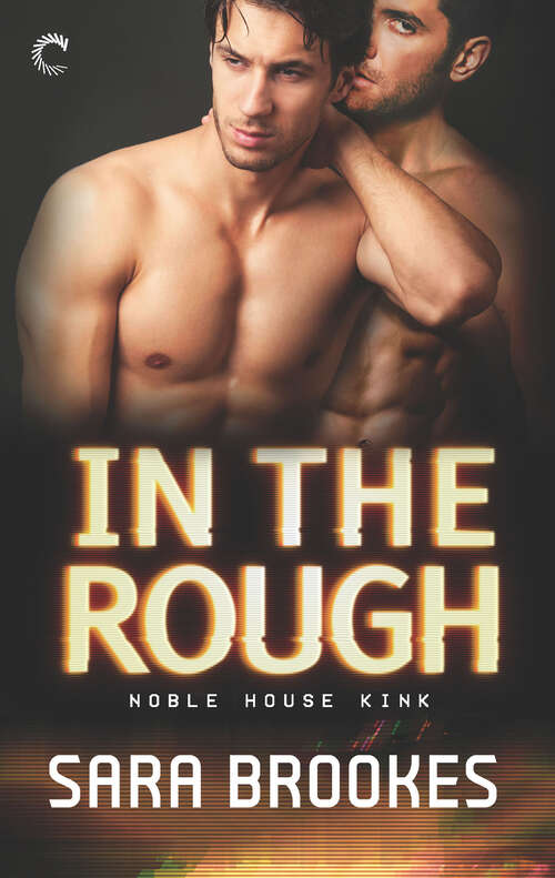 Book cover of In the Rough (Noble House Kink #3)