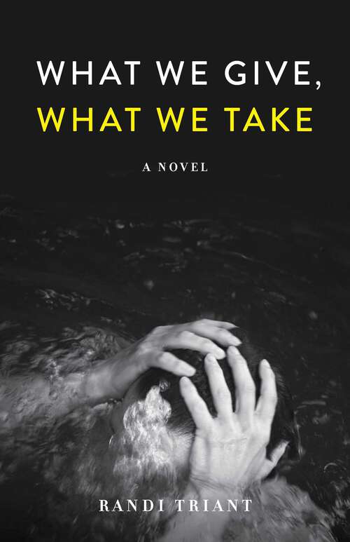 Book cover of What We Give, What We Take: A Novel