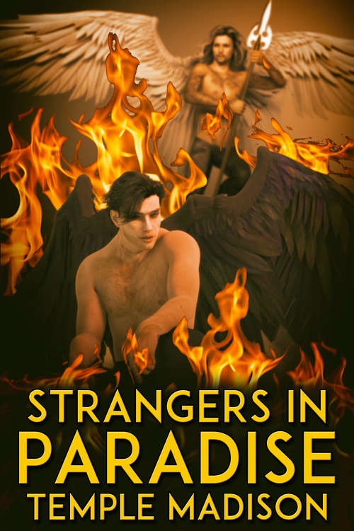 Book cover of Strangers in Paradise