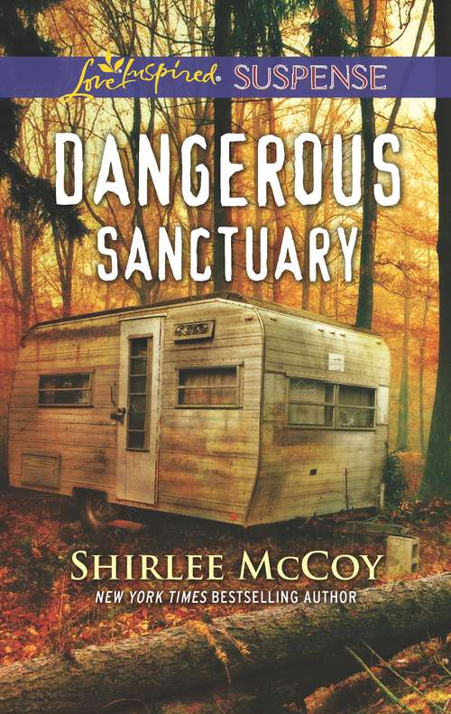 Book cover of Dangerous Sanctuary (Original) (FBI: Special Crimes Unit)