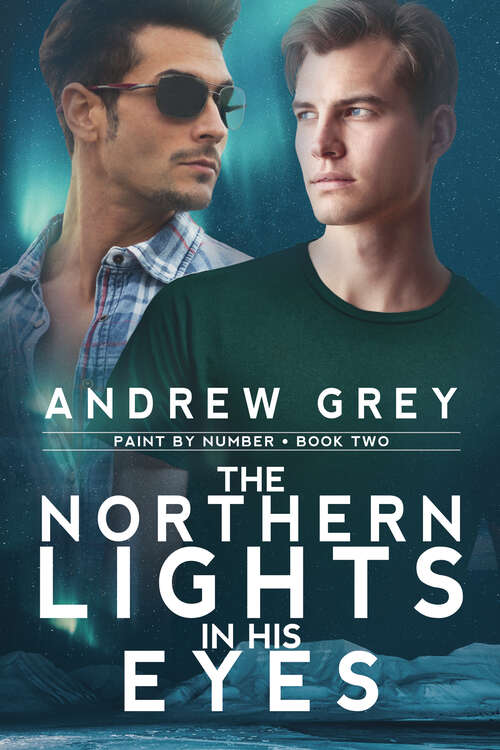 Book cover of The Northern Lights in His Eyes (Paint By Number #2)