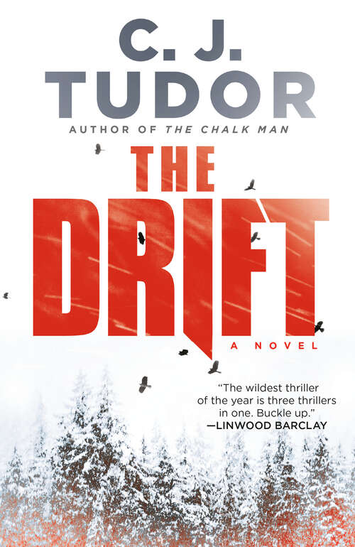 Book cover of The Drift: A Novel