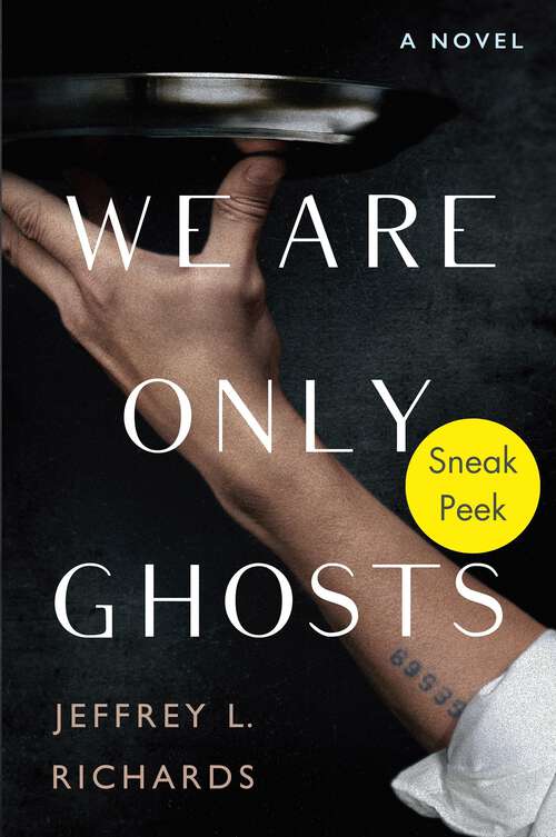 Book cover of We Are Only Ghosts: Sneak Peek