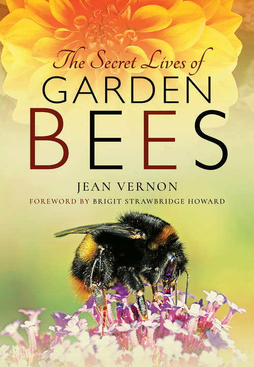 Book cover of The Secret Lives of Garden Bees