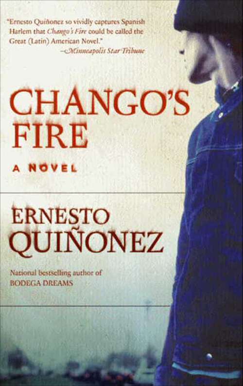 Book cover of Chango's Fire: A Novel