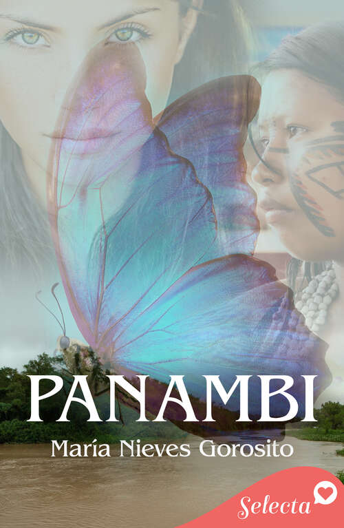 Book cover of Panambi