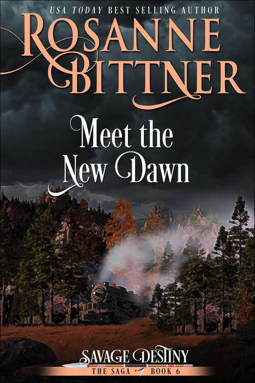 Book cover of Meet the New Dawn (Savage Destiny: The Saga)