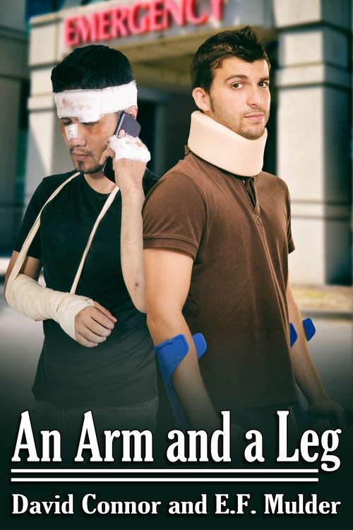 Book cover of An Arm and a Leg