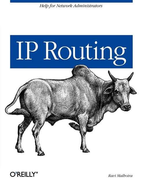 Book cover of IP Routing