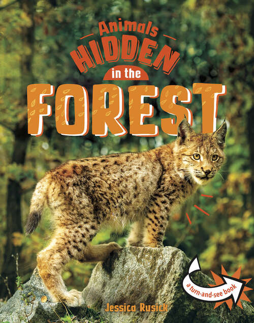 Book cover of Animals Hidden in the Forest (Animals Undercover)