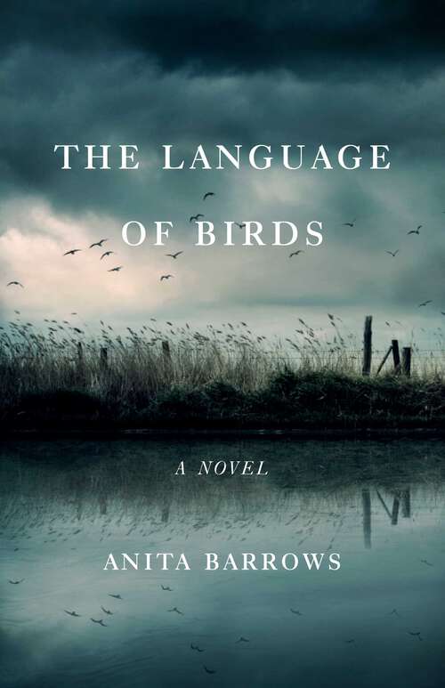 Book cover of The Language of Birds: A Novel