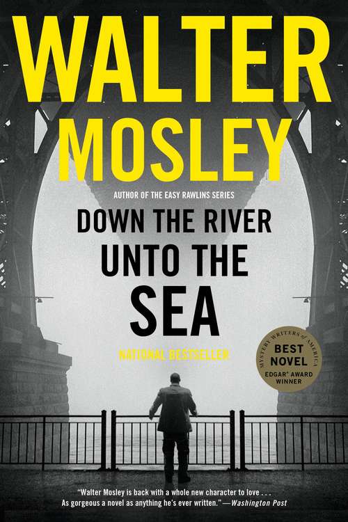 Book cover of Down the River unto the Sea
