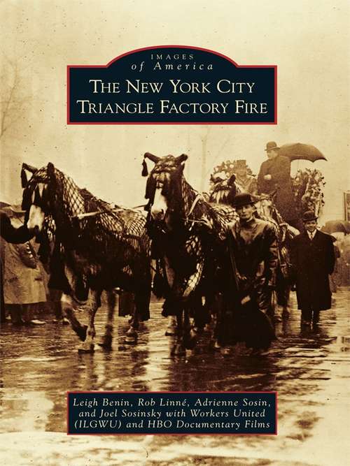 Book cover of New York City Triangle Factory Fire, The