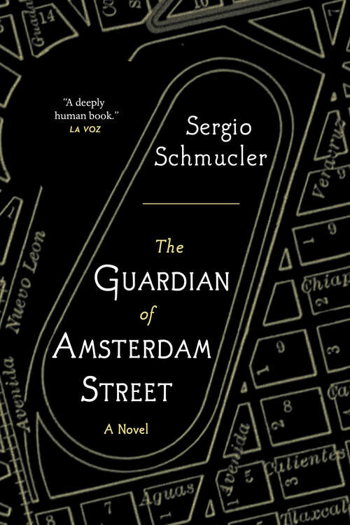 Book cover of The Guardian of Amsterdam Street