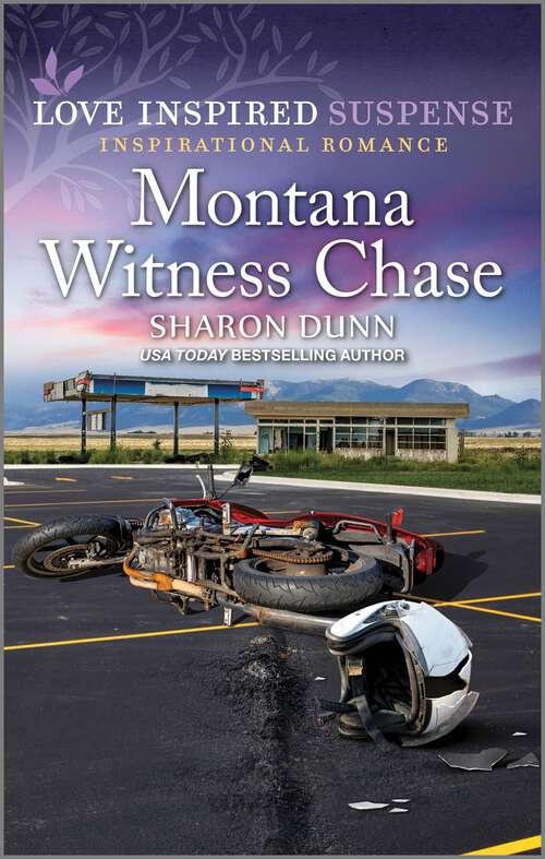 Book cover of Montana Witness Chase (Original)