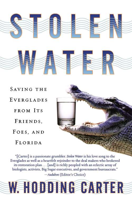 Book cover of Stolen Water